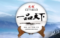 CAICHENG 2015